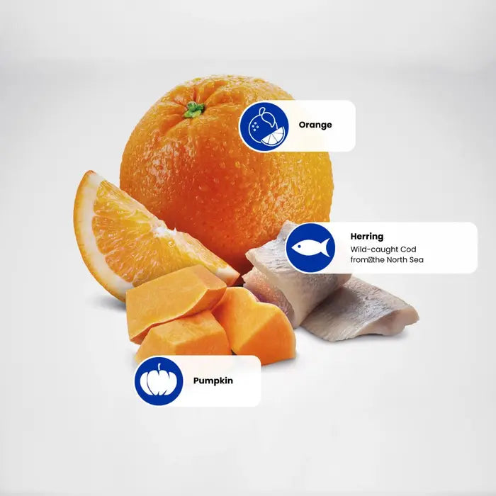 Farmina N&D Ocean Adult Herring, Pumpkin & Orange 1.5kg