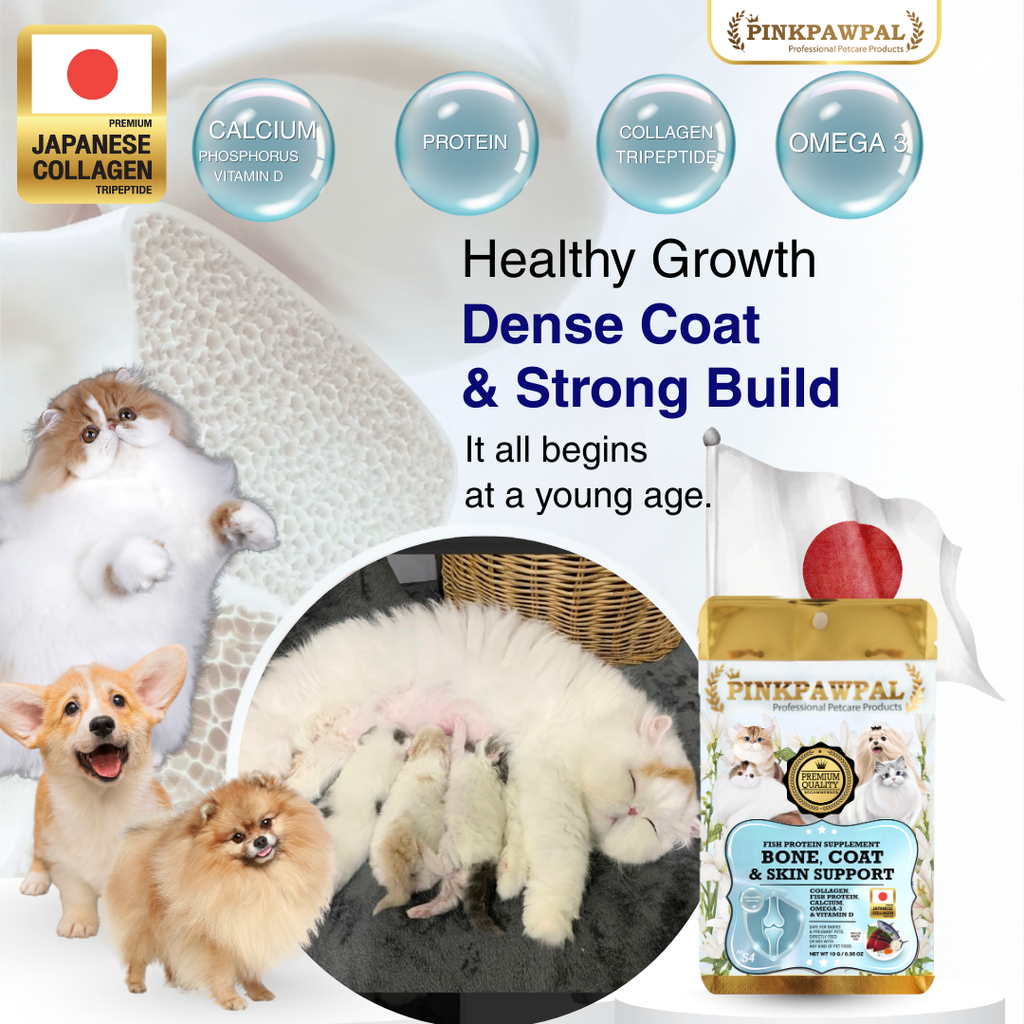 PinkPawPal Bone, Coat & Skin Support 30g