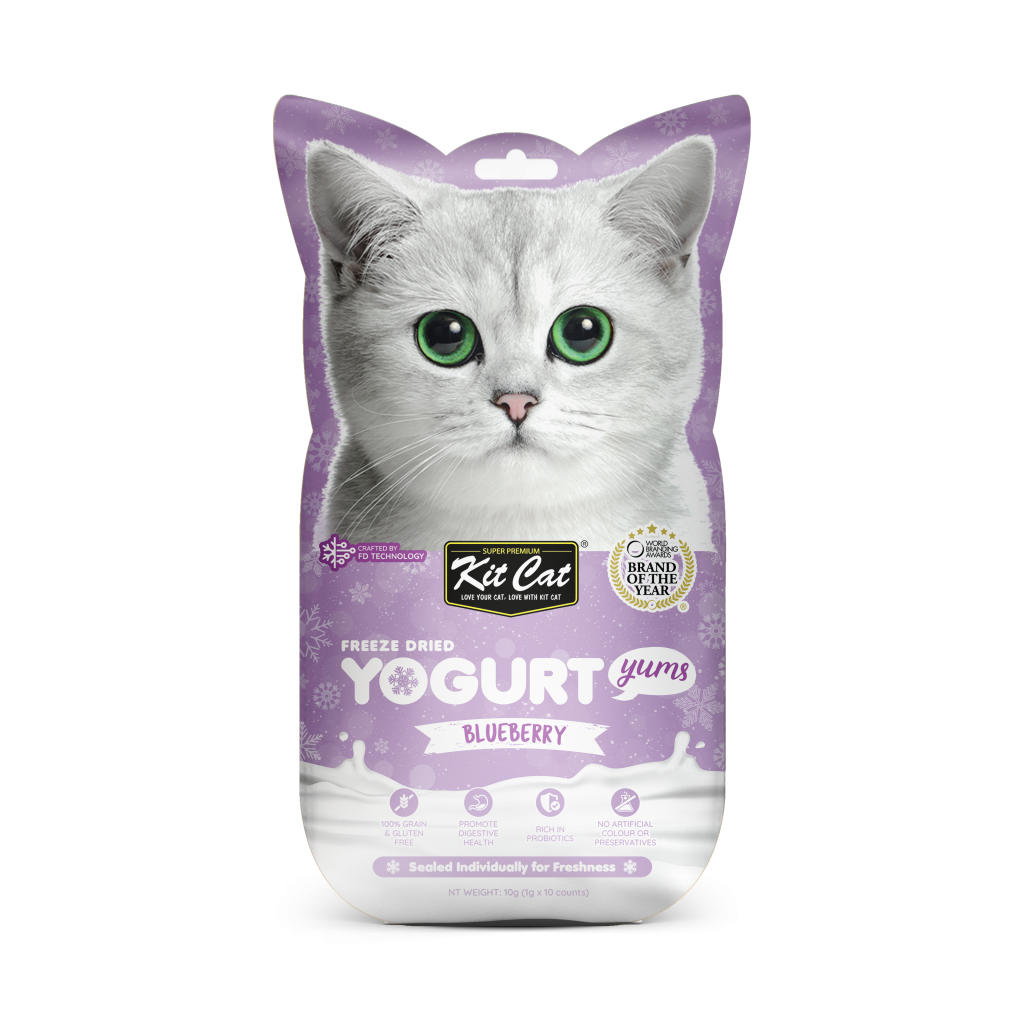 Kit Cat Freeze Dried Yogurt Yums Blueberry 10pcsx1G